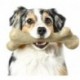 VRRCEE Dinosaur BarkBone Chew Toy - Tough Durable Nearly Indestructible Bone for Extreme Aggressive Power Chewers | Made in USA, with FDA Compliant Nylon - 2 Flavors Available