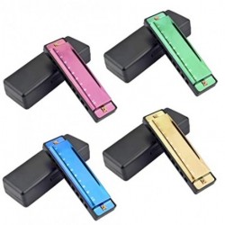 Maxie  4PCS Key of C 10 Hole 10 Tones Titanium Color Harmonica with Case for Beginner Students Kids