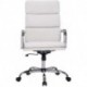 Eleful White Ergonomic Office Chair for Company or Home.