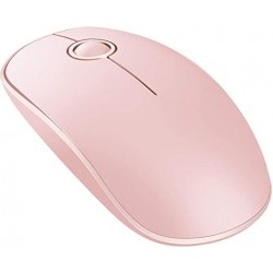Beanap Wireless Mouse, High Accuracy Ergonomic Cordless Computer Mouse for PC, Computer, Laptop, Mac (Pink)