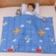 Ferdeh 5 lbs Weighted Blanket for Kids | 36"x48" | Weighted Blanket with 100% Cotton Premium Glass Beads | Perfect for Toddler Children from 30 to 60 lbs, Blue Airplane