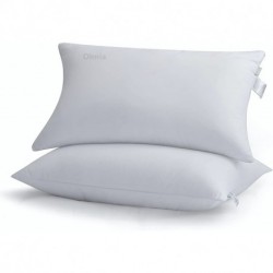 Olmia  Set of Two 100% Cotton Pillow